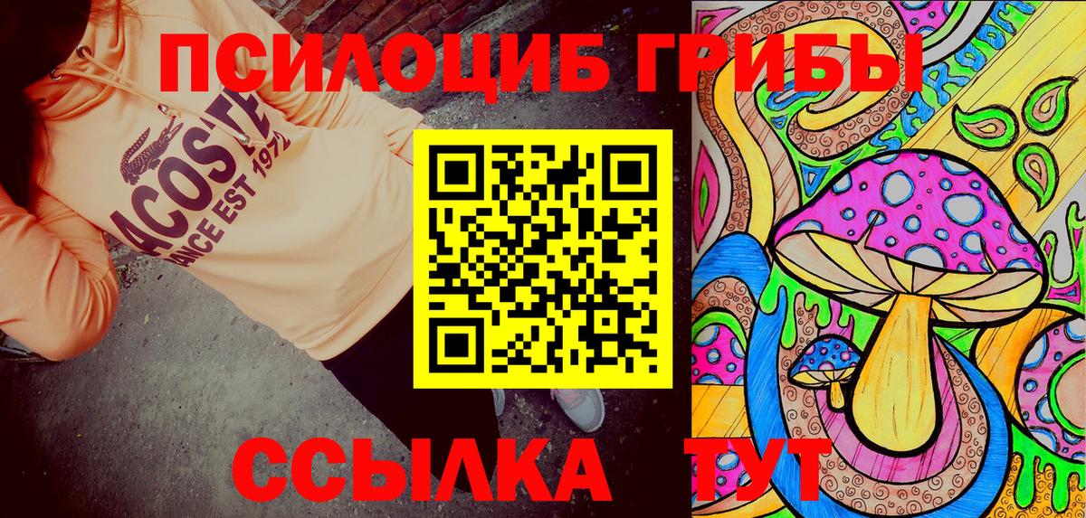 Егорьевск  цены   Вход с VPN  Галлюциногенные грибы Cubensis  Галлюциногенные грибы Magic Shrooms 
